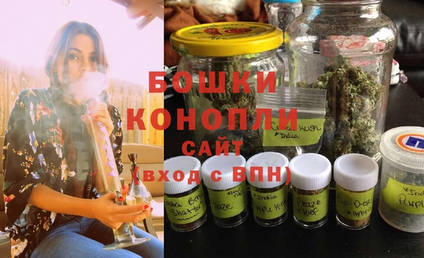 винт Новозыбков