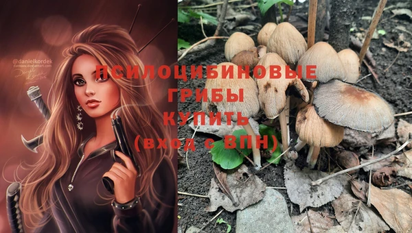 винт Новозыбков