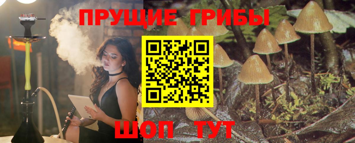 Галлюциногенные грибы мицелий Партизанск