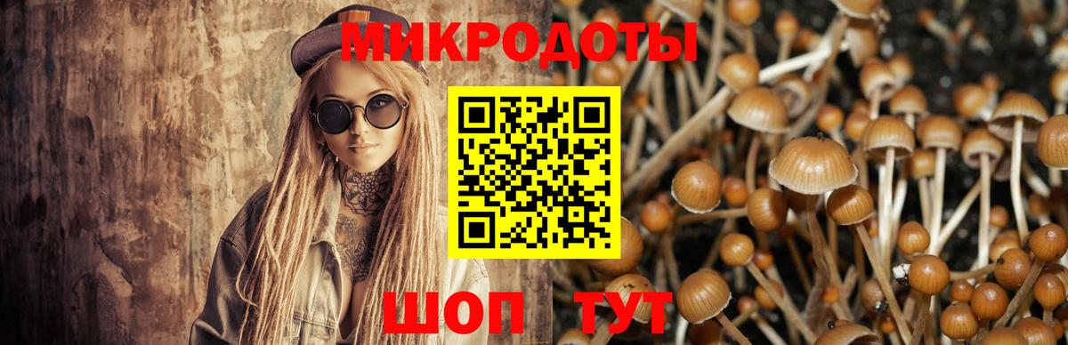 Партизанск  наркотики  Вход с VPN  Галлюциногенные грибы Psilocybine cubensis 